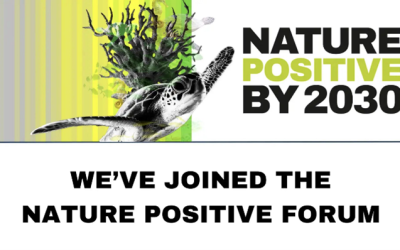 Naturaleza Positiva: Kolibrí es miembro de Nature Positive Forum